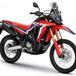 Honda CRF 300 L e Rally 2021: in arrivo una 250 maggiorata?