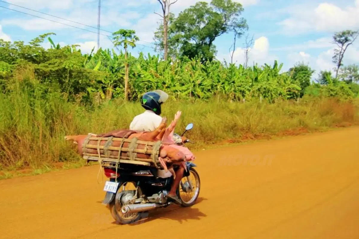 Viaggi in moto. Cambogia, un filo di gas (18)