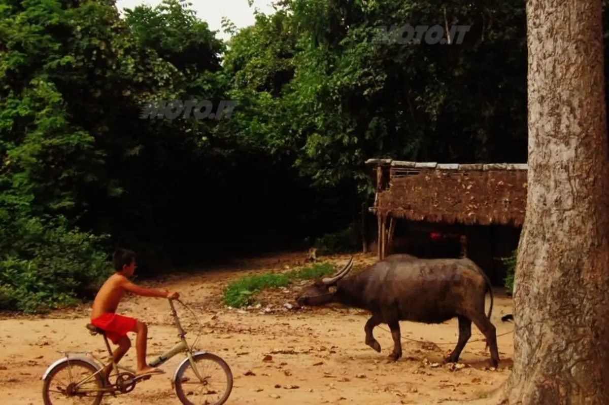 Viaggi in moto. Cambogia, un filo di gas (19)
