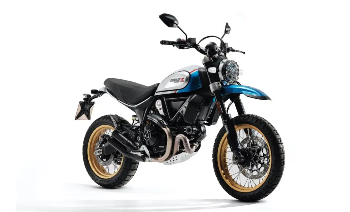 Ducati Scrambler 800 Scrambler 800 Desert Sled (2021 - 22) (4)