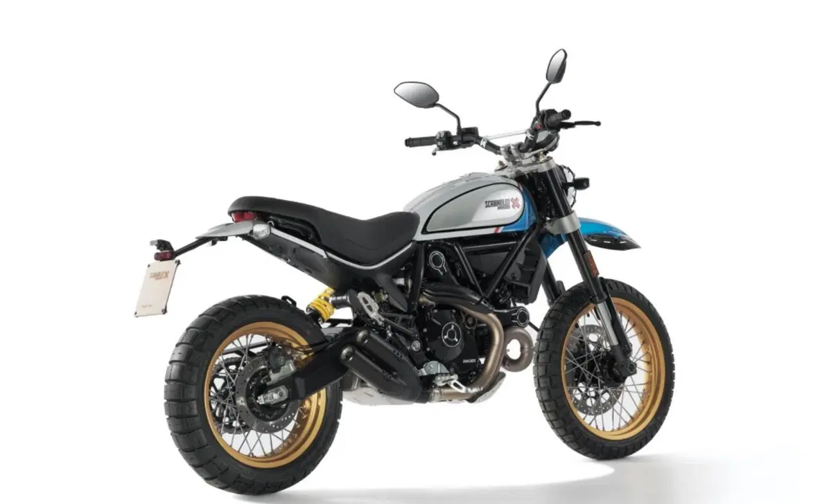 Ducati Scrambler 800 Scrambler 800 Desert Sled (2021 - 22) (6)
