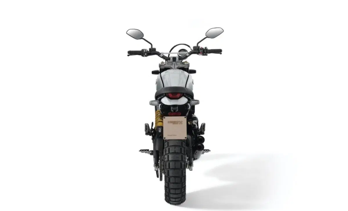Ducati Scrambler 800 Scrambler 800 Desert Sled (2021 - 22) (8)