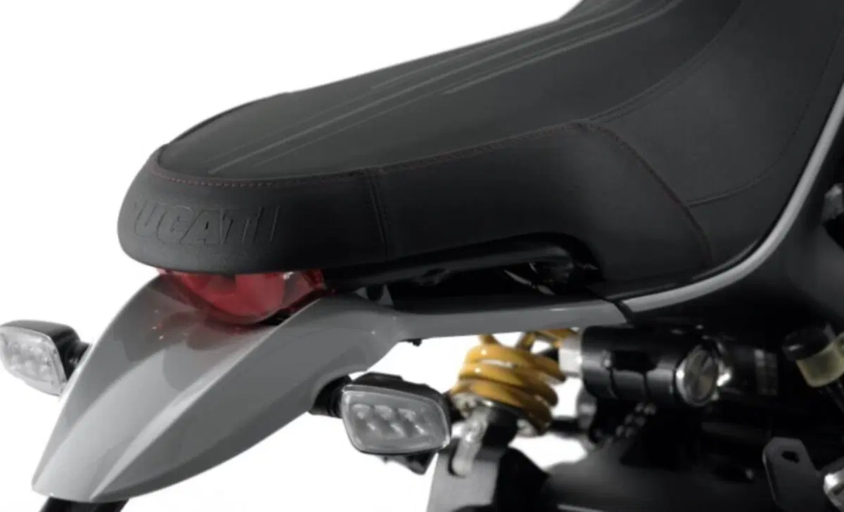 Ducati Scrambler 800 Scrambler 800 Desert Sled (2021 - 22) (9)