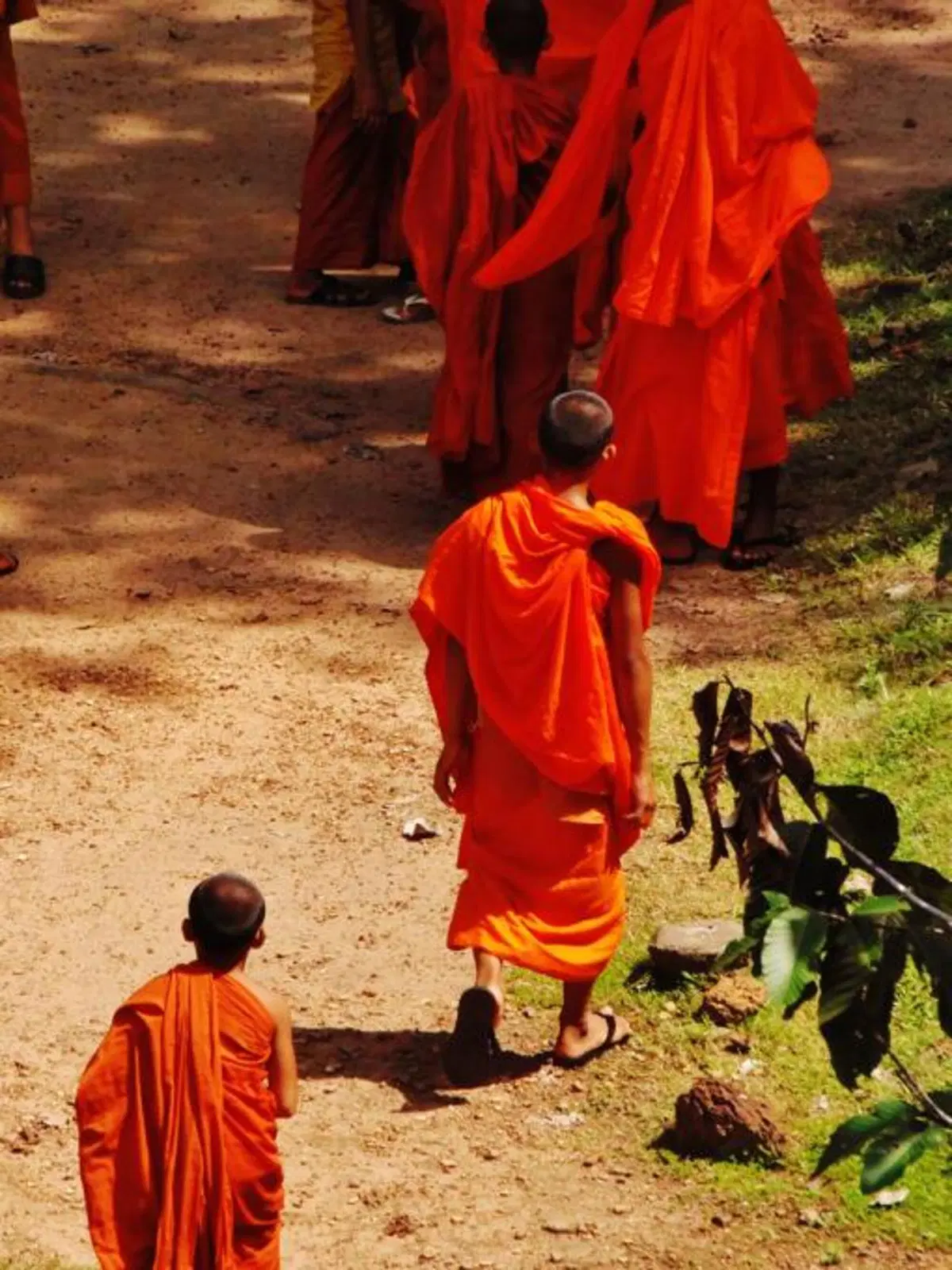 Viaggi in moto. Cambogia, un filo di gas (32)