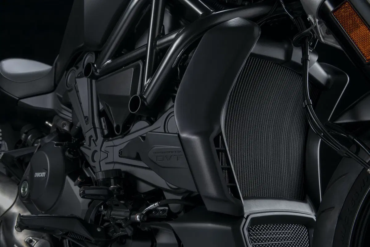 XDiavel 1260 Dark 2021 (6)