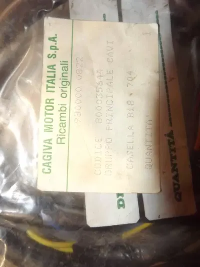 gruppo principale cavi cagiva