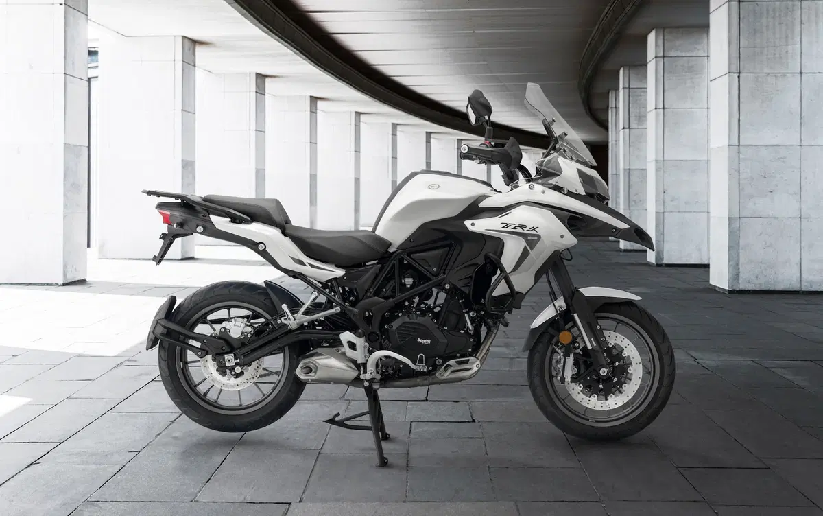 Benelli Leoncino 800, "The Lion Prince"