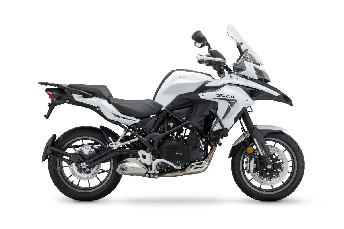 Benelli Leoncino 800, "The Lion Prince" (3)