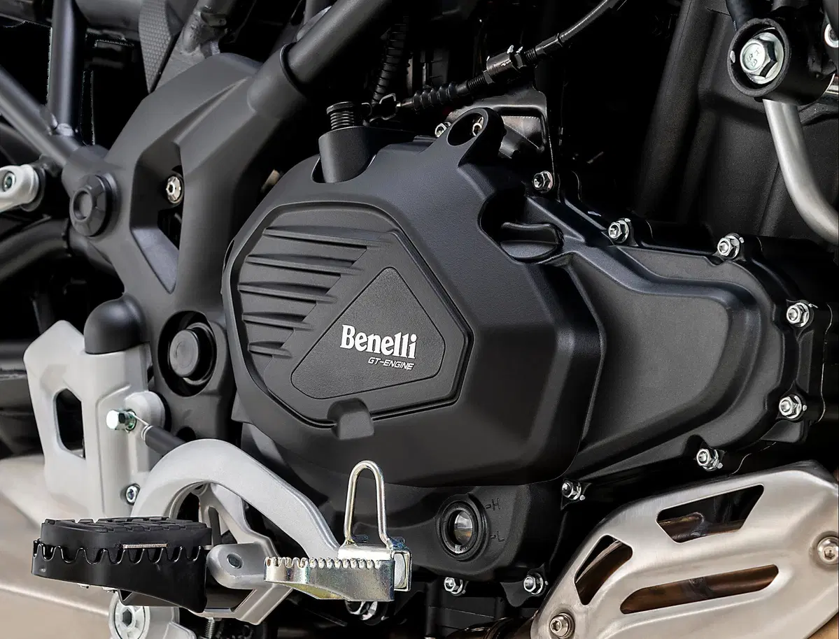 Benelli Leoncino 800, "The Lion Prince" (9)