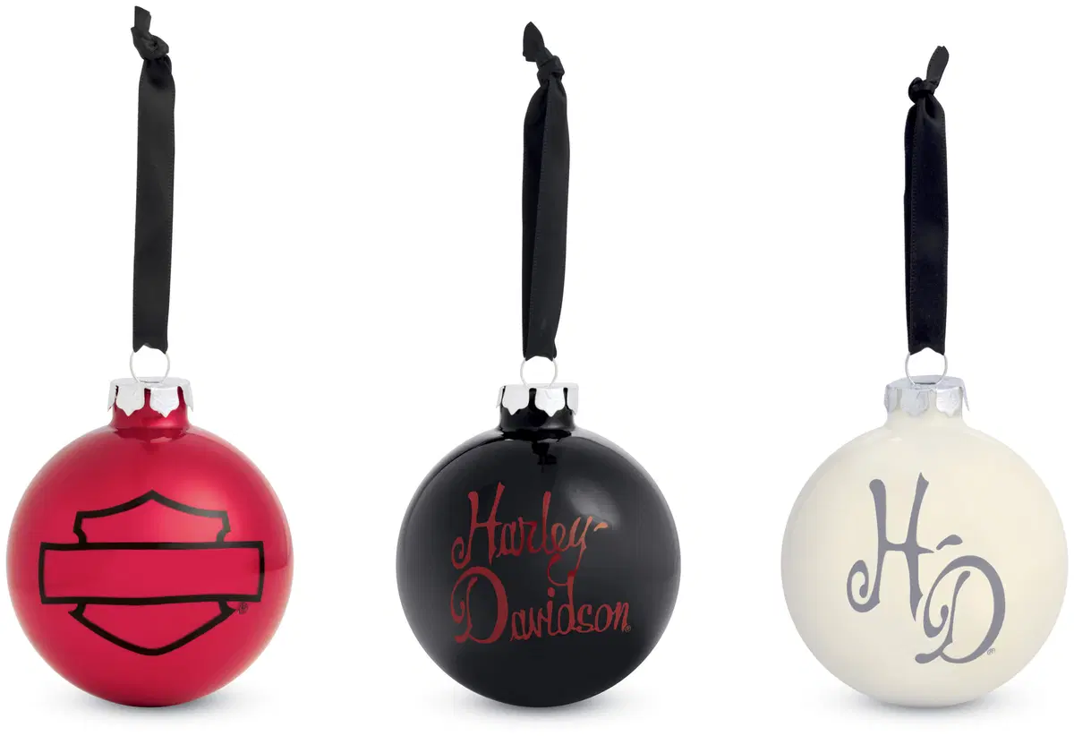 Idee regalo Natale 2012. Cosa mettere sotto l'albero dei motociclisti? (2)