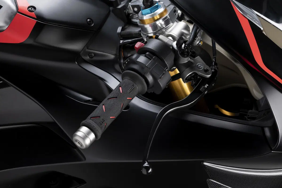 Ducati Panigale V4 Panigale V4 1100 SP (2021) (21)
