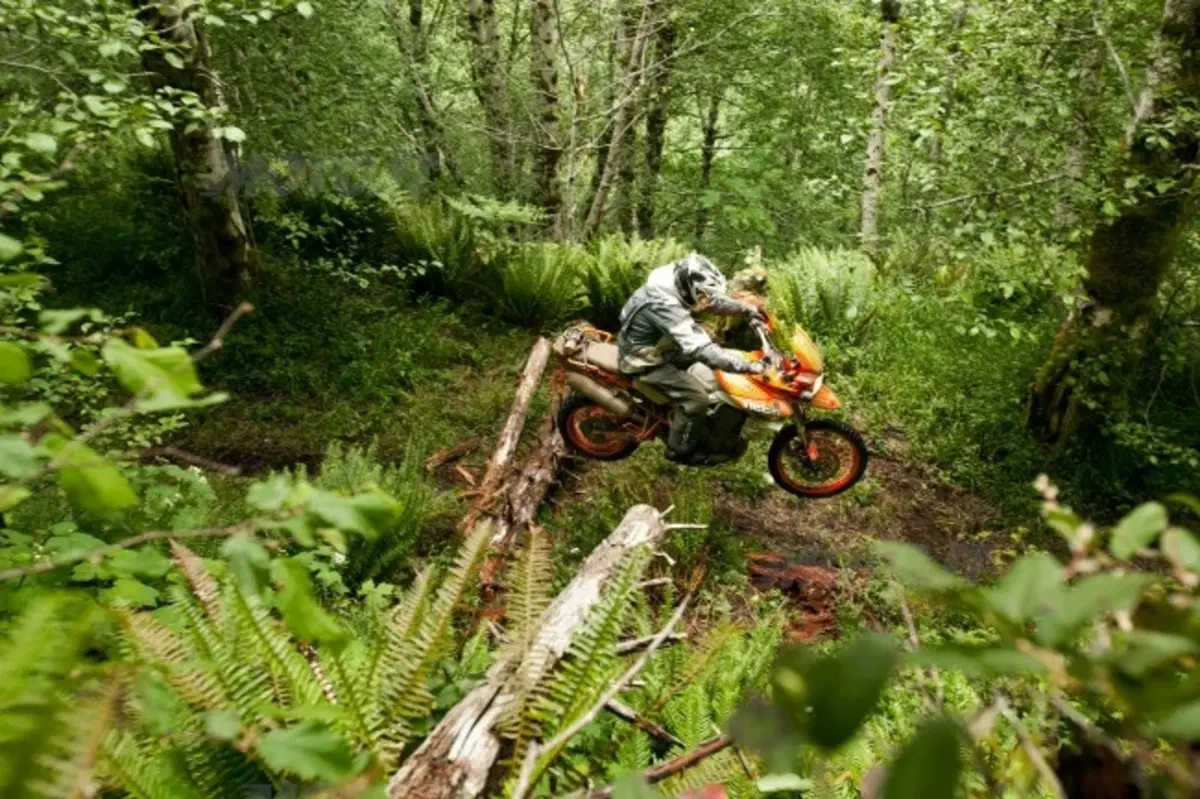 Triumph Tiger 800 XC, adatta a qualsiasi terreno (3)