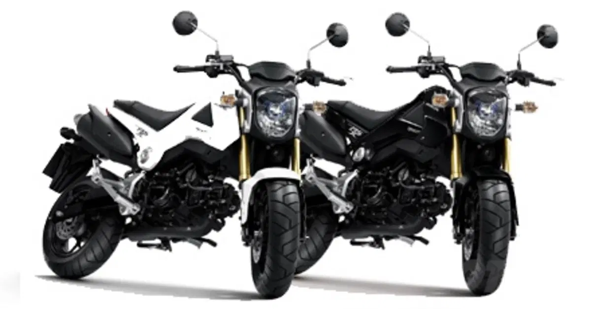 Nuova Honda MSX125. Arriva in Italia la moderna Monkey!