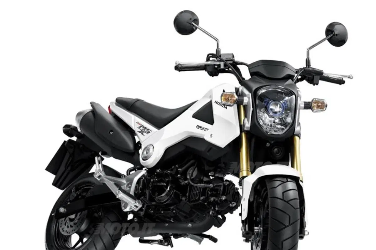 Nuova Honda MSX125. Arriva in Italia la moderna Monkey! (3)
