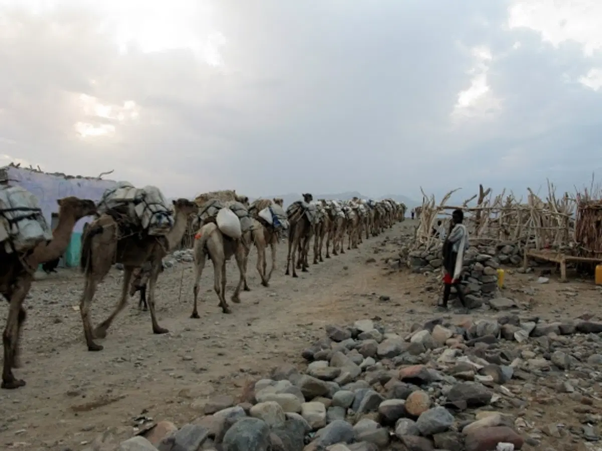 Viaggi in moto. Raid in Etiopia (16)