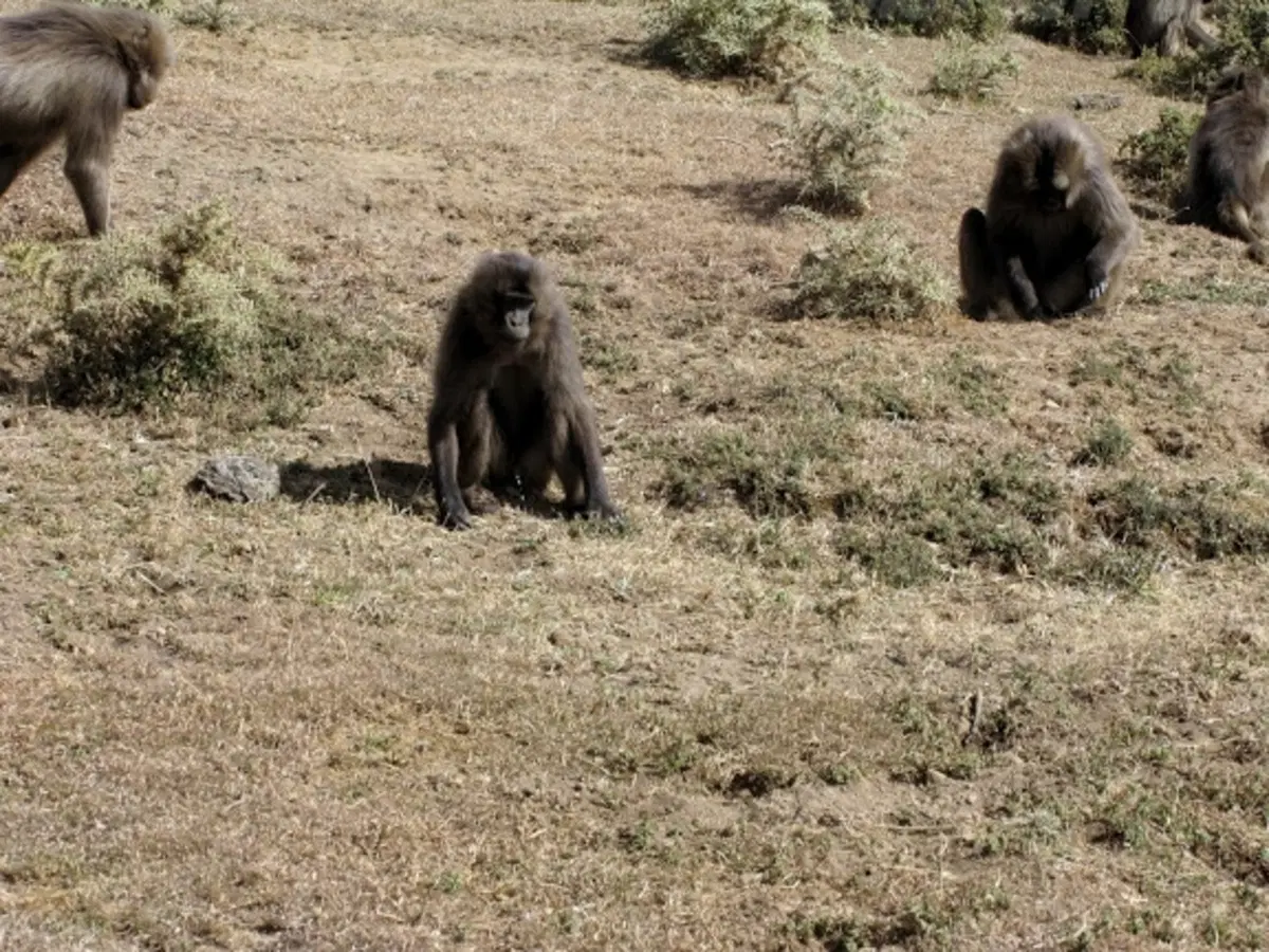 Viaggi in moto. Raid in Etiopia (17)