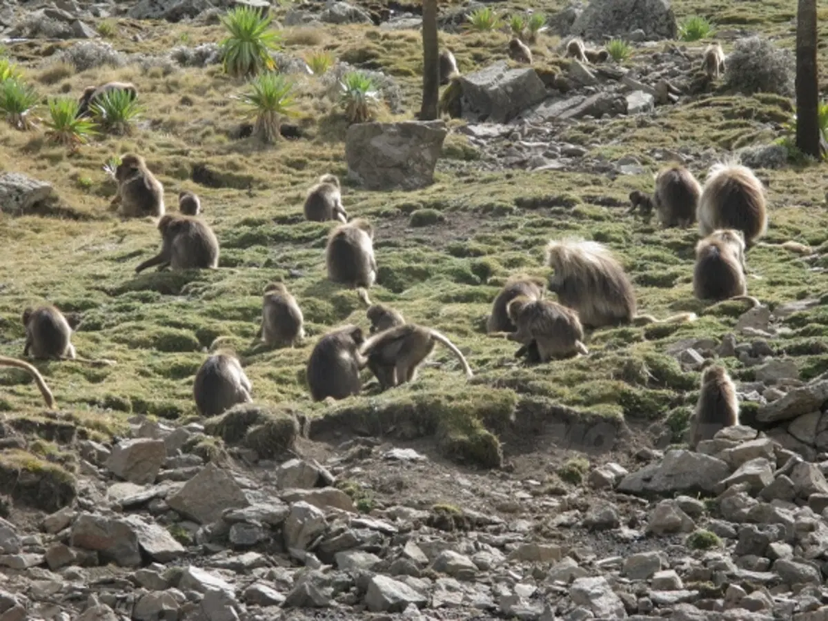Viaggi in moto. Raid in Etiopia (18)