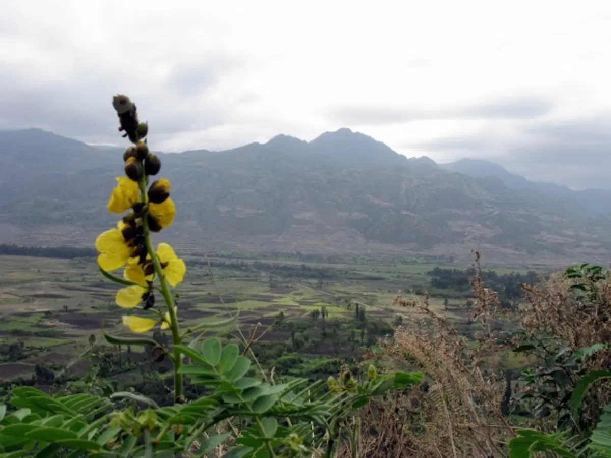 Viaggi in moto. Raid in Etiopia (32)