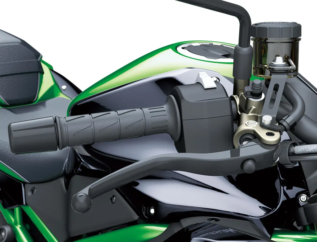 Kawasaki Z H2 SE: novità 2021 (6)