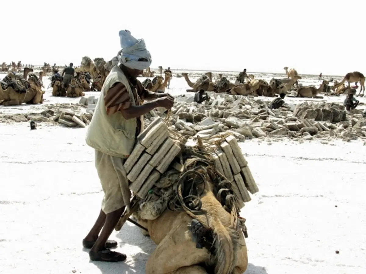 Viaggi in moto. Raid in Etiopia (56)
