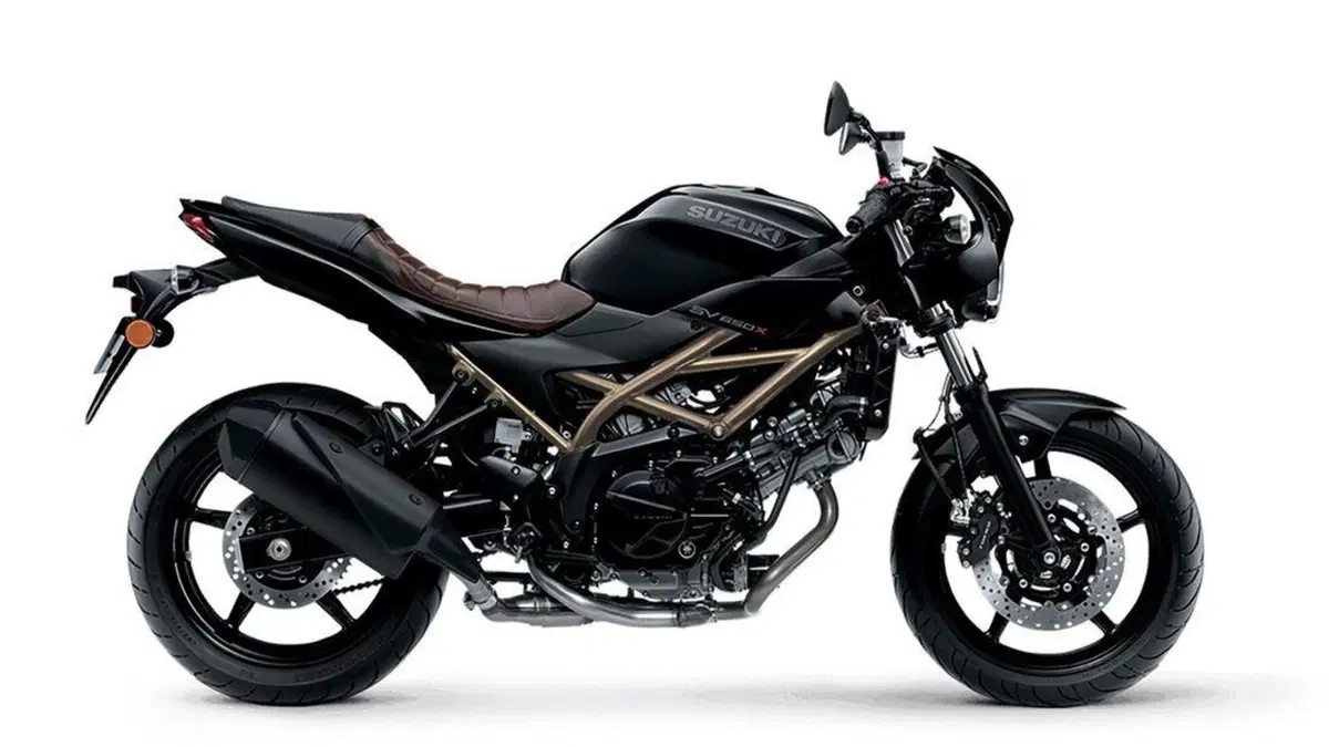 Suzuki SV650 e SV650X. Aggiornate per il 2021 (4)