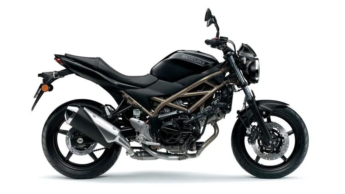 Suzuki SV650 e SV650X. Aggiornate per il 2021 (2)