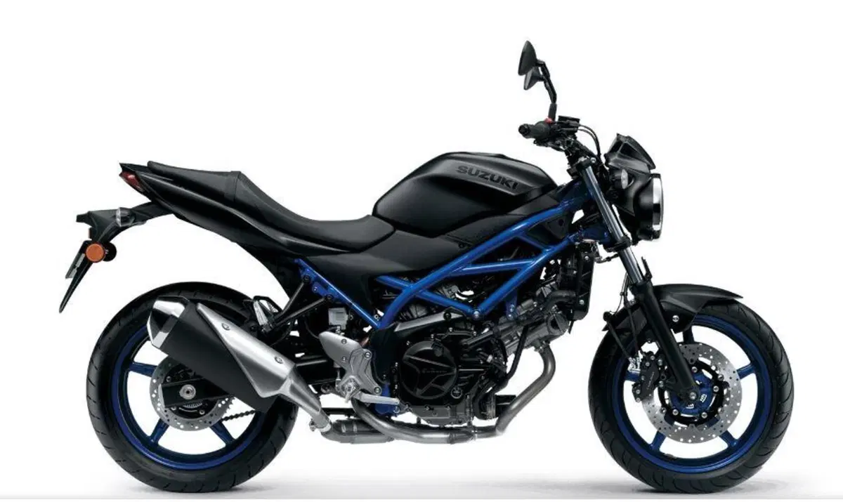 Suzuki SV650 e SV650X. Aggiornate per il 2021 (3)