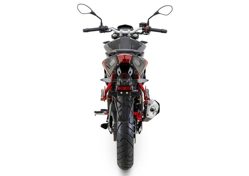 Benelli BN 125 BN 125 (2021 - 24) (6)