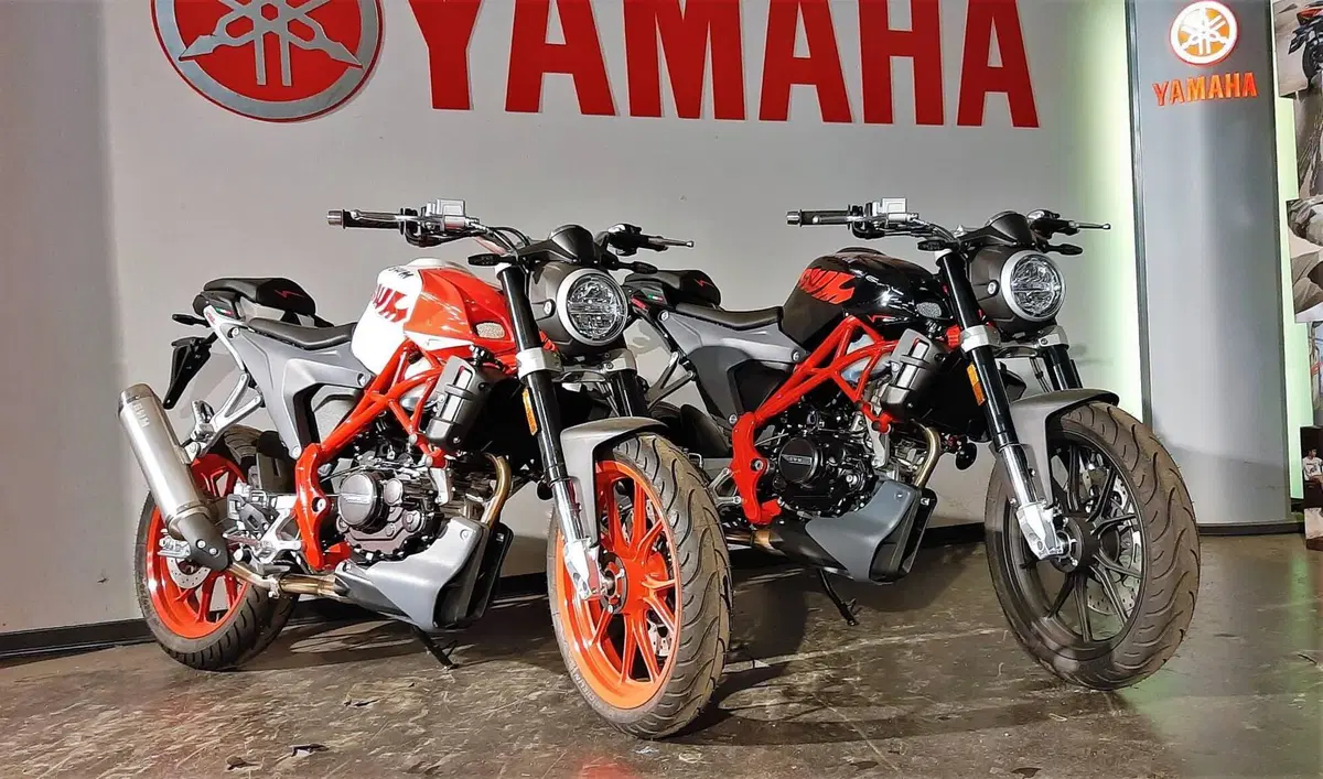 Swm Varez 125 (2022 - 23)