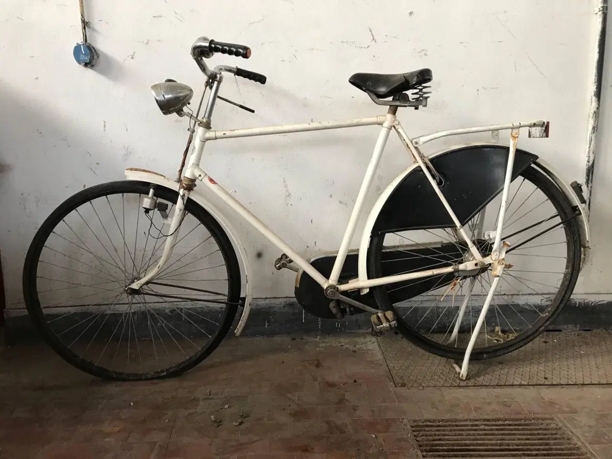 Bicicletta POM (2)