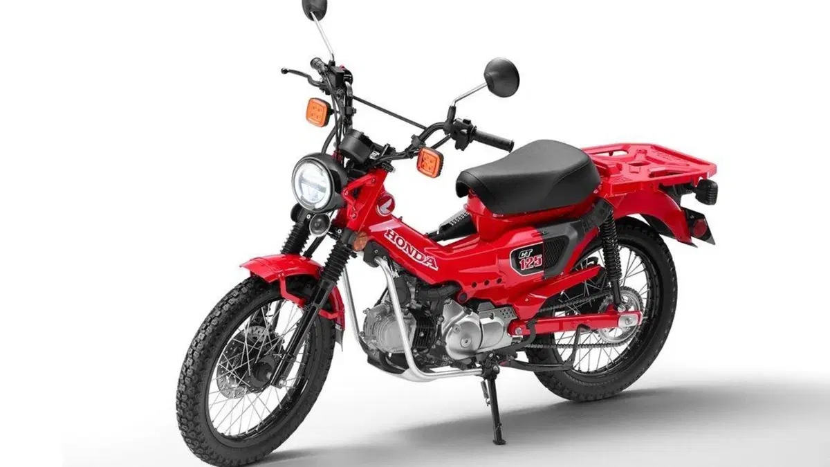 Honda CT125 Hunter Cub 2020. Foto e caratteristiche (7)