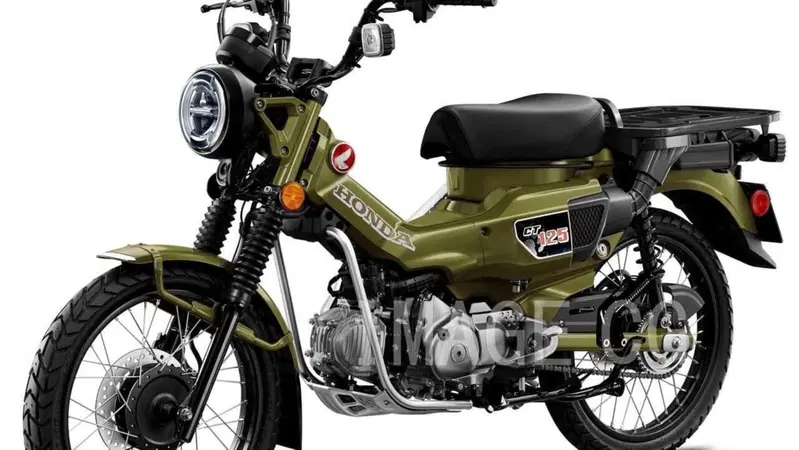 Honda CT 125 Hunter Cub 2021. Trail 125 anche per l'Europa?