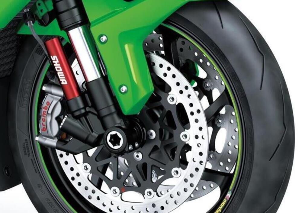 Kawasaki Ninja 1000 ZX-10RR (2021 - 23) (3)