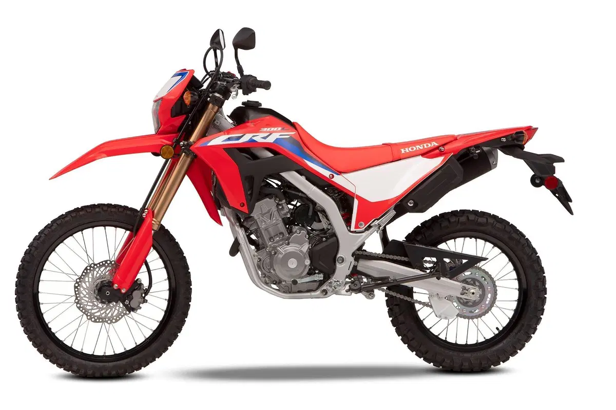 Nuove Honda CRF300L e CRF300 Rally 2021: arrivano in Italia (2)