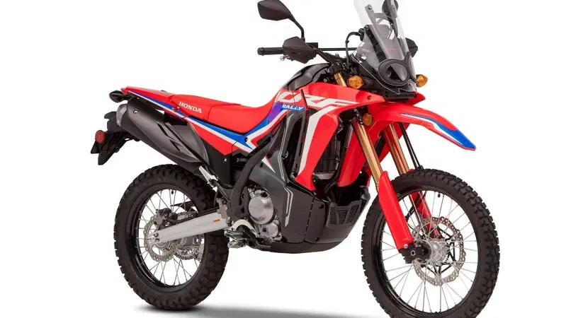 Nuove Honda CRF300L e CRF300 Rally 2021: arrivano in Italia