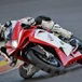 MV Agusta F4 e F4RR 2013