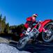 Le Honda CRF-RX Enduro 2021 (250, 300, 400 e 450) di RedMoto. Dati e prezzi