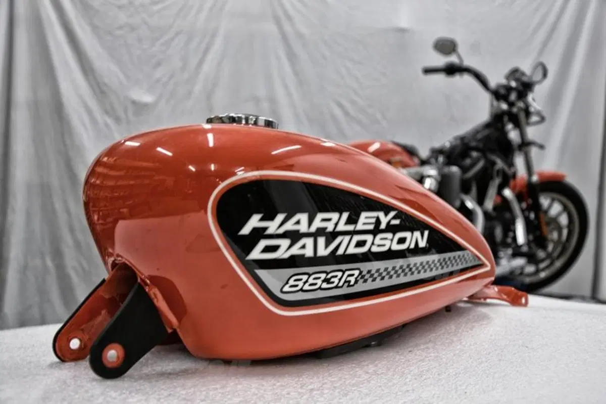 Al Motor Bike Expo di Verona Free Spirits presenta la sua Harley-Davidson 883R (10)