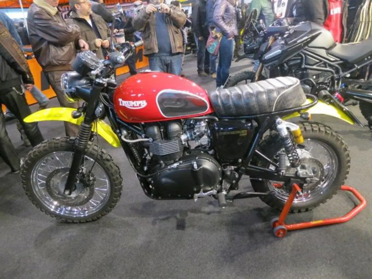 Le foto più divertenti del Motor Bike Expo 2013 a Verona (27)