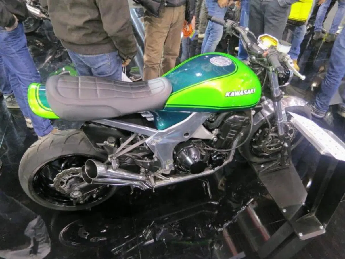 Le foto più divertenti del Motor Bike Expo 2013 a Verona (28)
