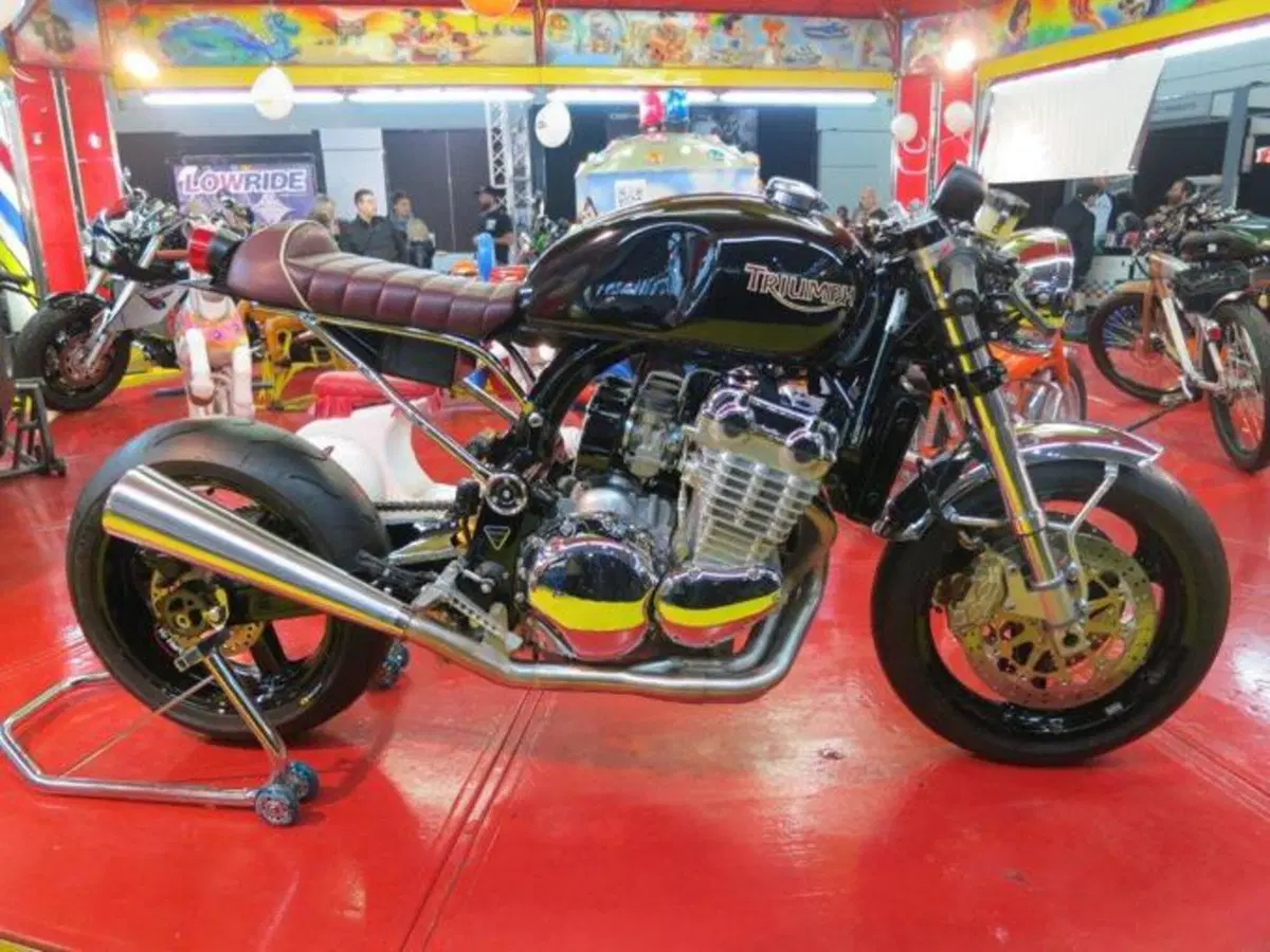 Le foto più divertenti del Motor Bike Expo 2013 a Verona (34)