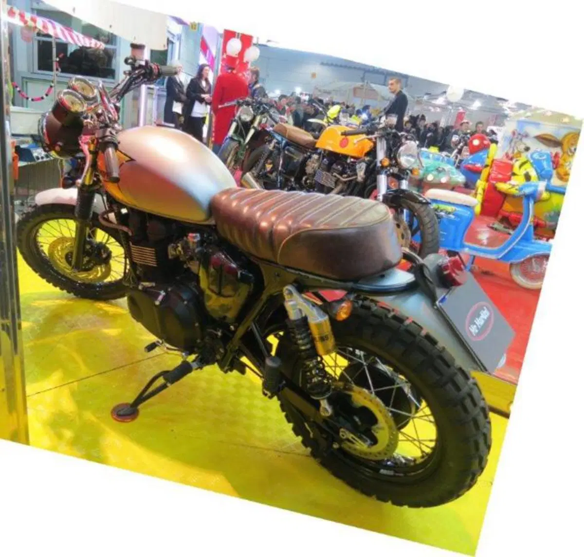 Le foto più divertenti del Motor Bike Expo 2013 a Verona (37)
