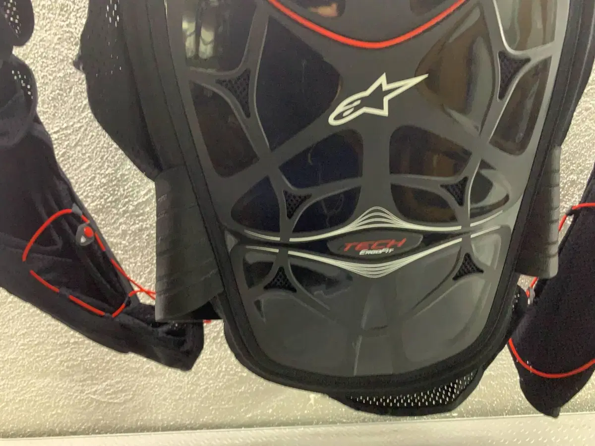 PETTORINA PROTEZIONI CROSS-ENDURO-BMX ALPINESTAR L Alpinestars (3)