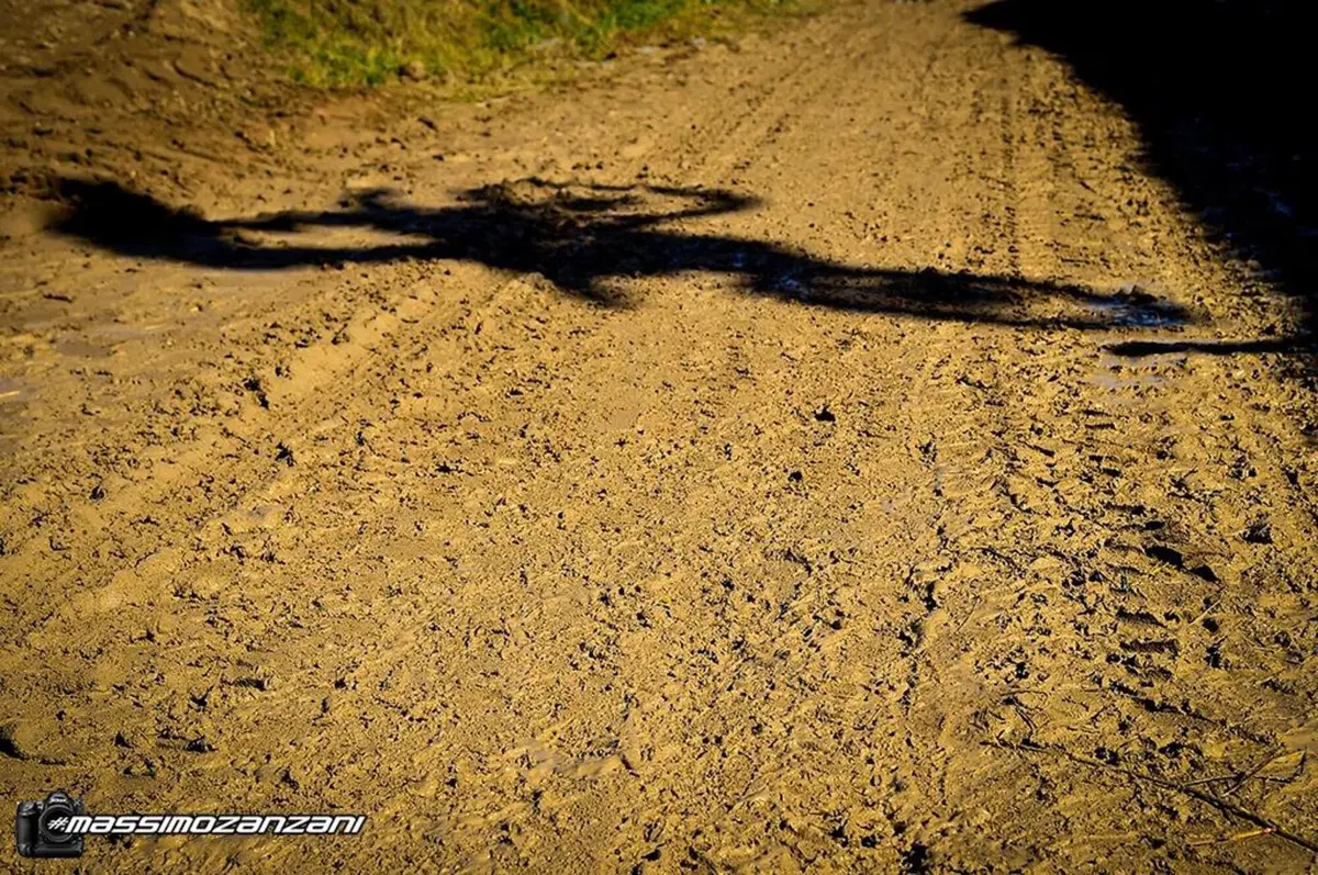 Gallery MX. Le foto più belle del 2020 (105)
