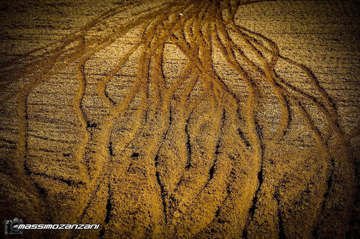 Gallery MX. Le foto più belle del 2020 (112)