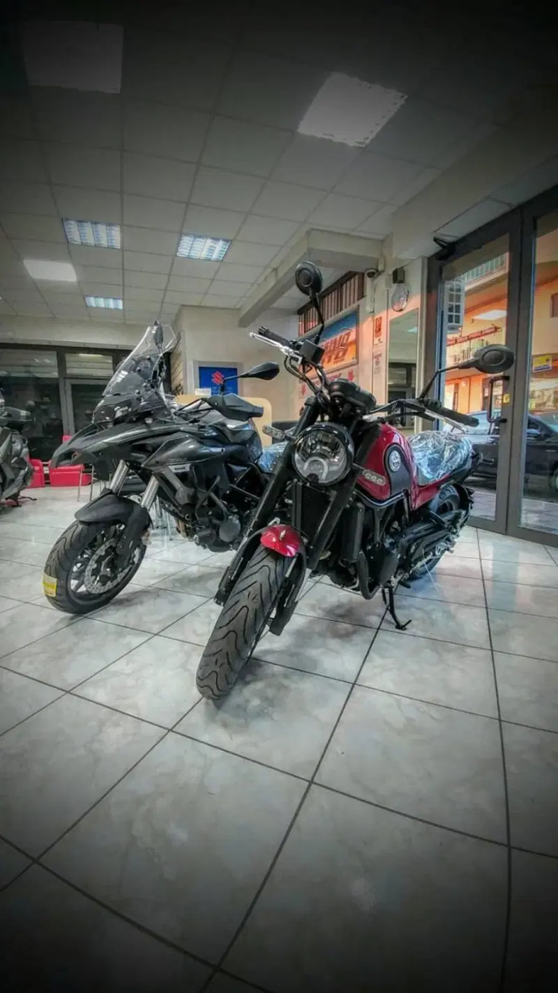 Benelli Leoncino 500 Trail (2021 - 26) (5)