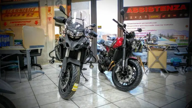 Benelli Leoncino 500 Trail (2021 - 26) (11)