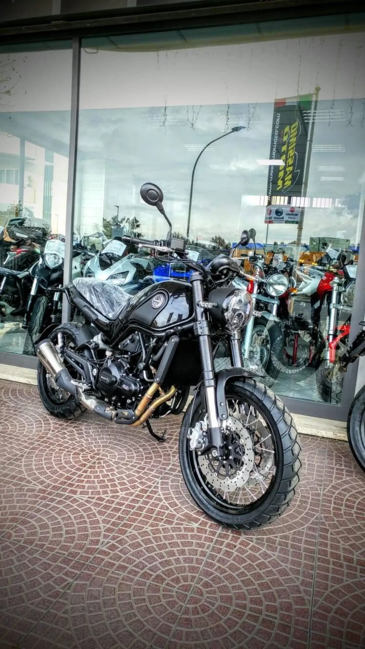 Benelli Leoncino 500 Trail (2021 - 26) (15)