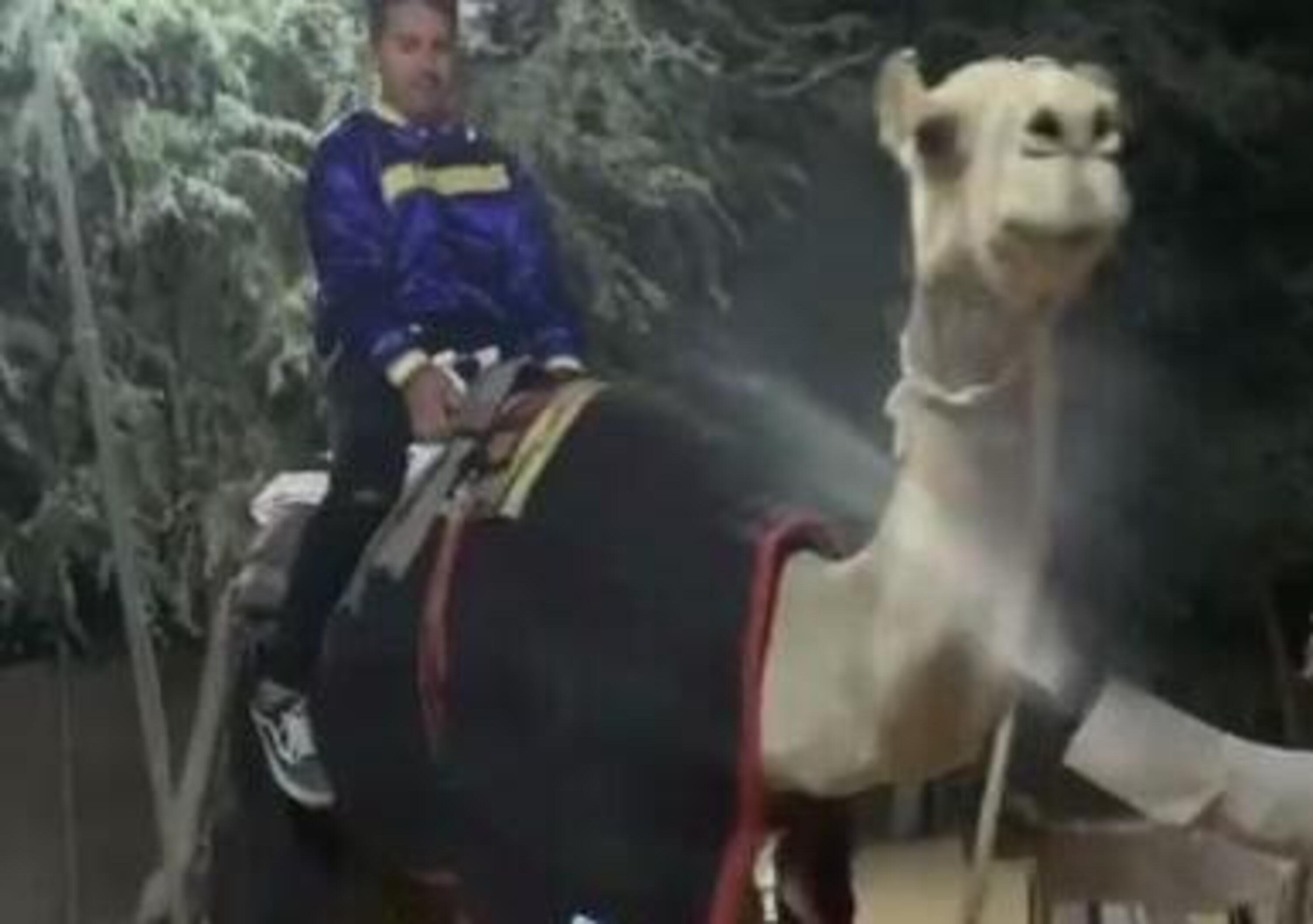 Jorge Lorenzo &egrave; tornato in sella&hellip; A un cammello! [VIDEO]