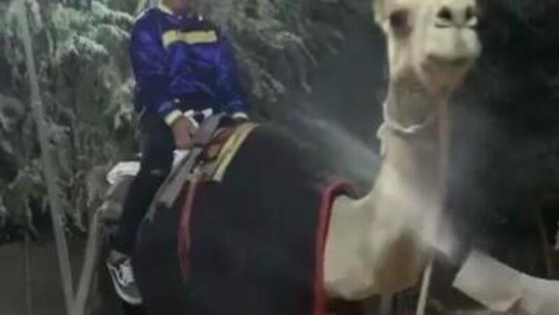 Jorge Lorenzo &egrave; tornato in sella&hellip; A un cammello! [VIDEO]